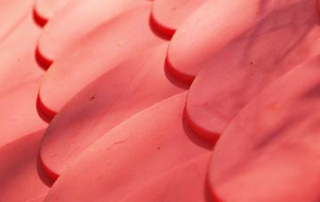 Netley plastic roof costs