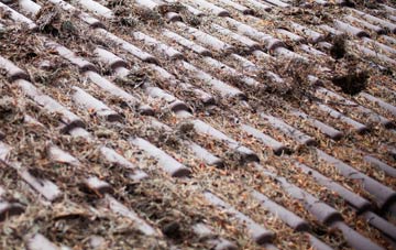 Netley roof cleaning companies